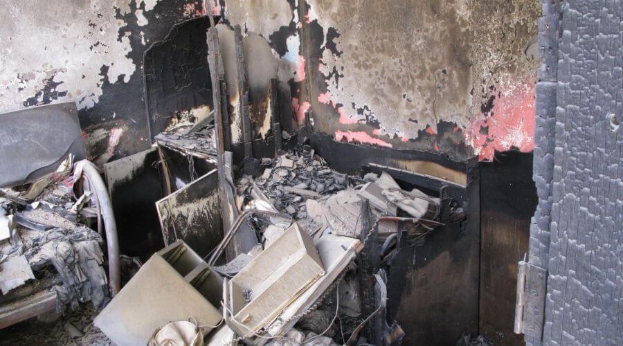 Why choose Portage Black Mold Removal for black mold removal in Portage